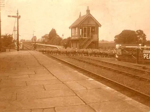 Around Louth photograph 4