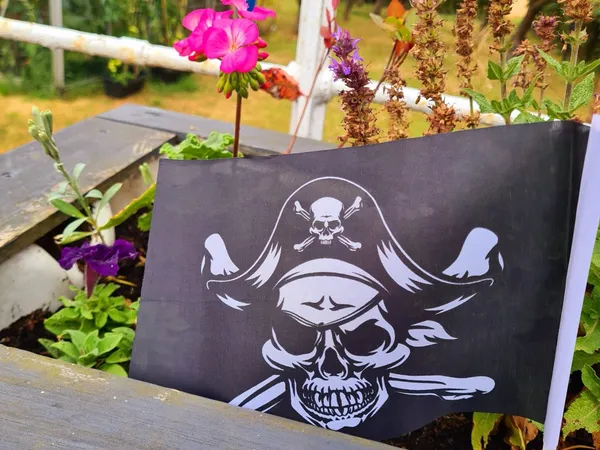 Pirates of Ludborough photograph 6