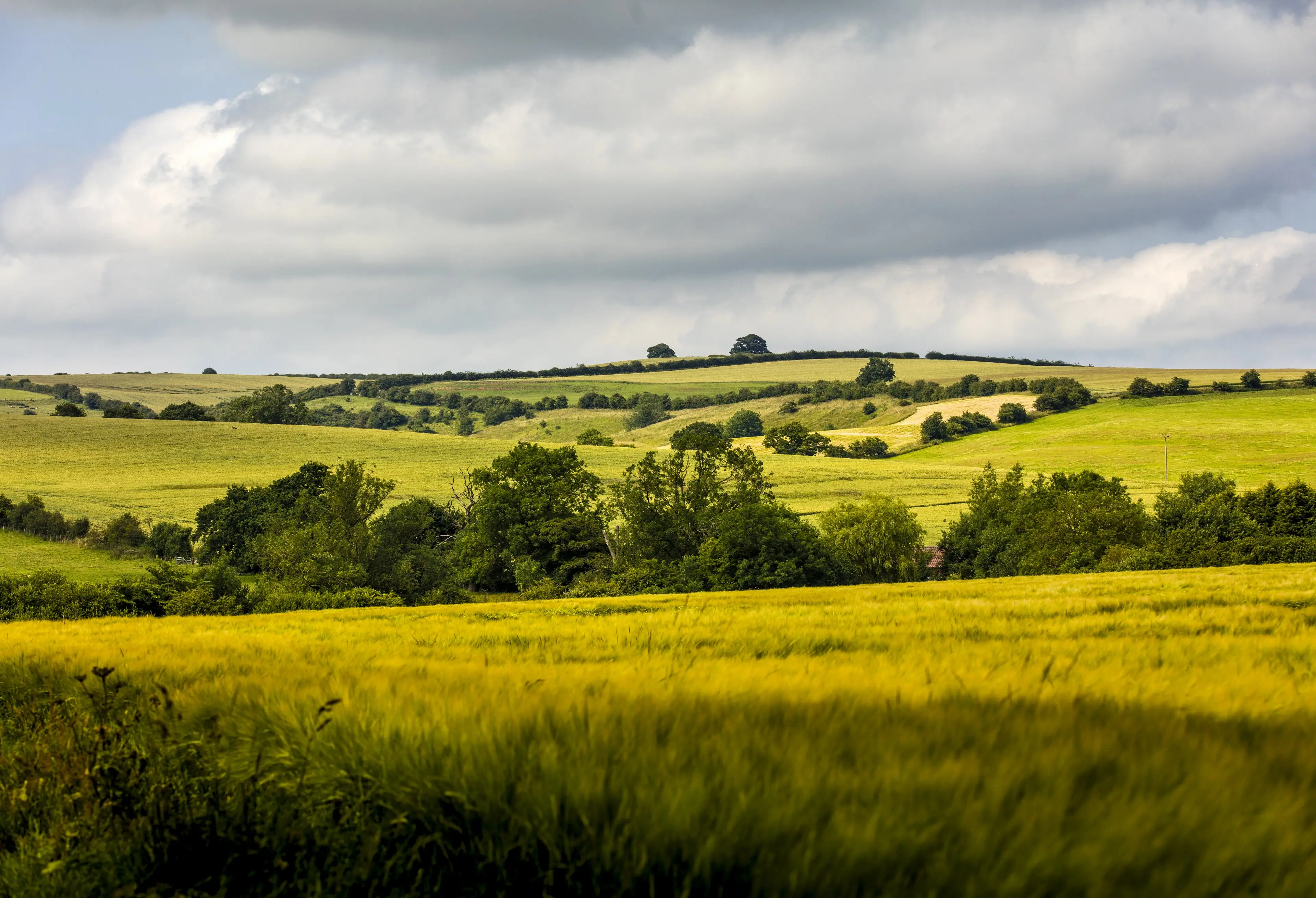 The rolling Lincolnshire Wolds countryside